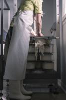 MARIA JULIA MARCHINI - MARIA MARCHINI